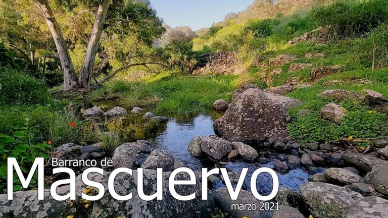 Zonas Verdes con Lagos en Teror