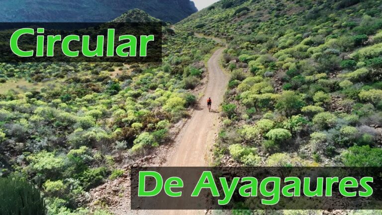 Rutas de Bici de Montaña en Mogán: Descubre las Mejores Opciones