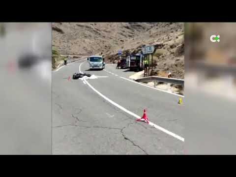 Transporte en Bicicleta en Mog&aacute;n: An&aacute;lisis y Experiencias