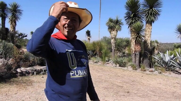 Jardines Bot&aacute;nicos en Ingenio: Gu&iacute;a de Ubicaci&oacute;n