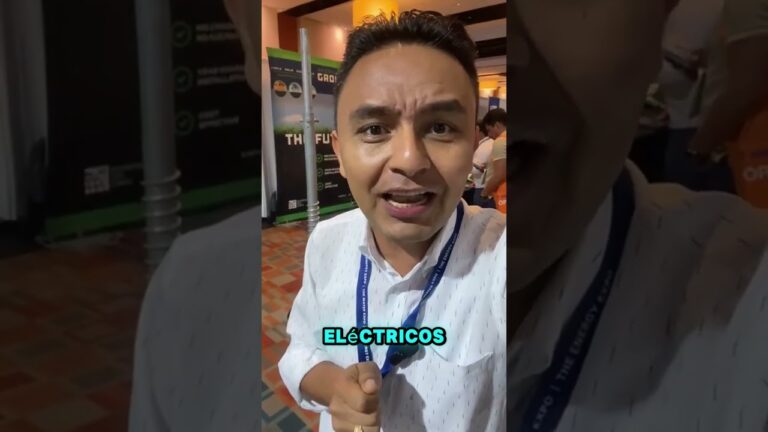 Opciones de Ayuda para Pagar la Luz en Ingenio
