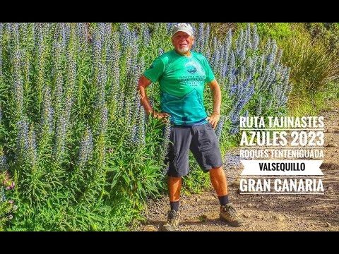 Zonas Verdes con Mayor Sombra en Valsequillo