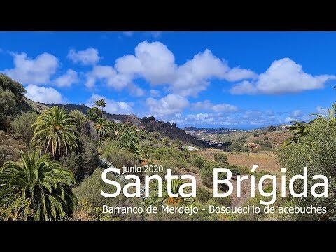 Las Mejores Zonas con Vistas en Santa Brígida