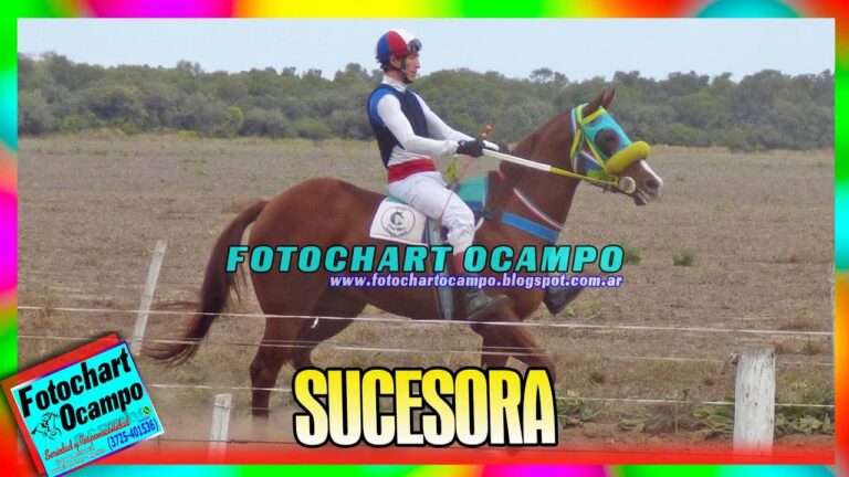 Centros de Equitaci&oacute;n Cercanos a San Bartolom&eacute; de Tirajana