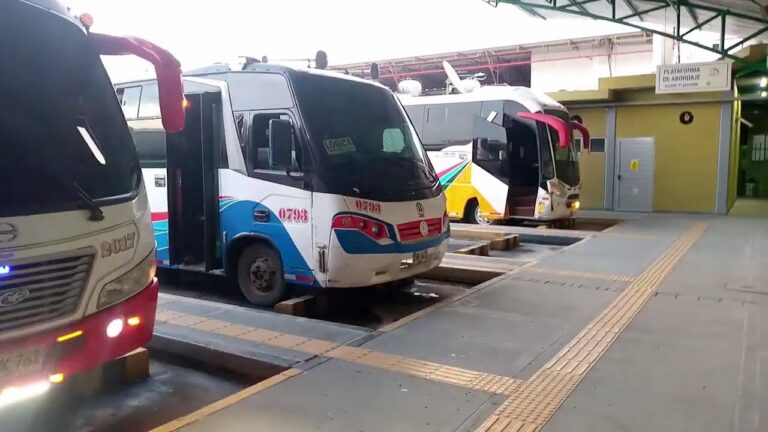 Transporte Público Nocturno en Santa Brígida: ¿Es Seguro y Eficiente?