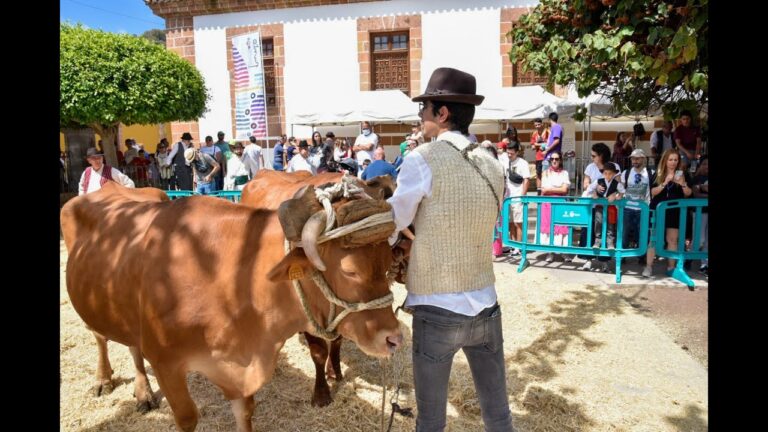 Actividades del Día del Padre en Teror