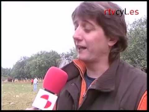 Regulación de Fiestas en San Bartolomé de Tirajana
