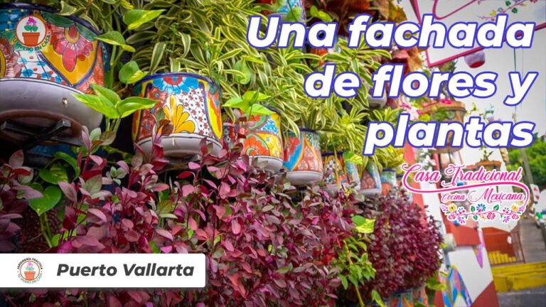 Guía para encontrar tiendas de jardinería en Valsequillo